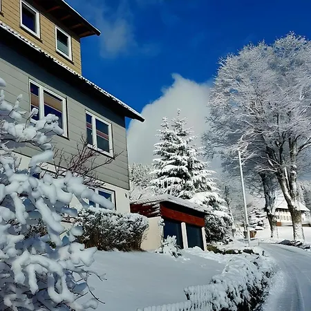 Wanne Im Schwarzwald Lejlighed Furtwangen